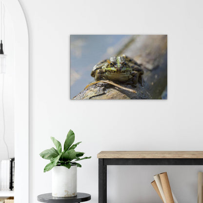 Awkward Frog