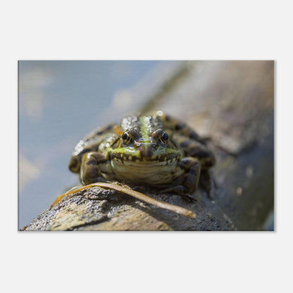 Awkward Frog