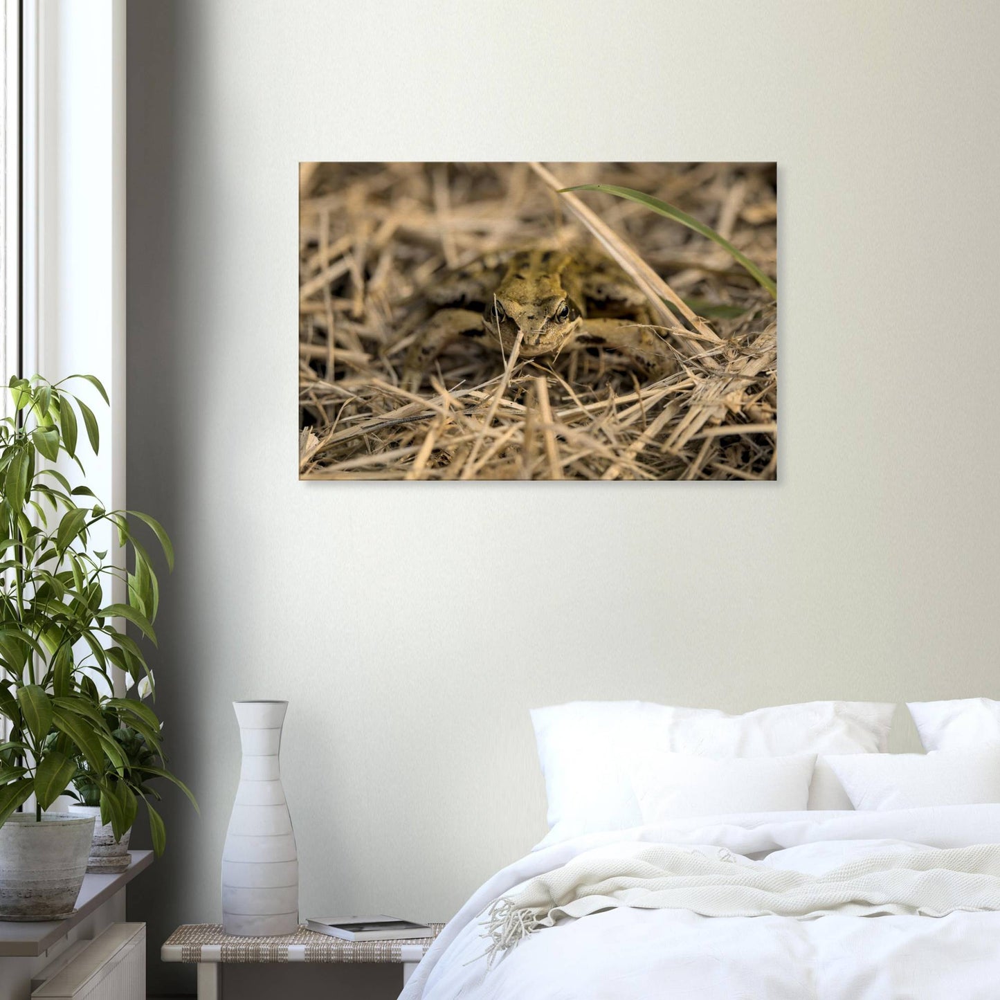 Frog in Hay