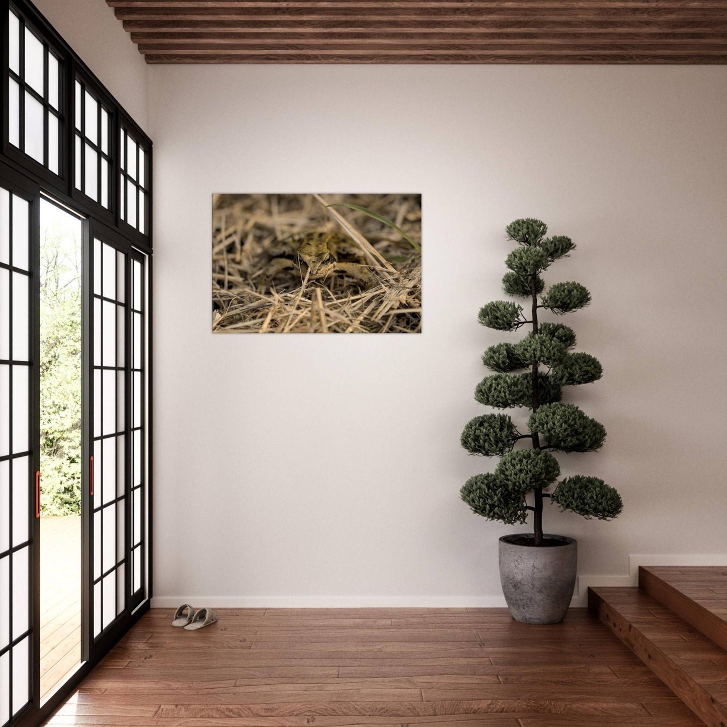Frog in Hay