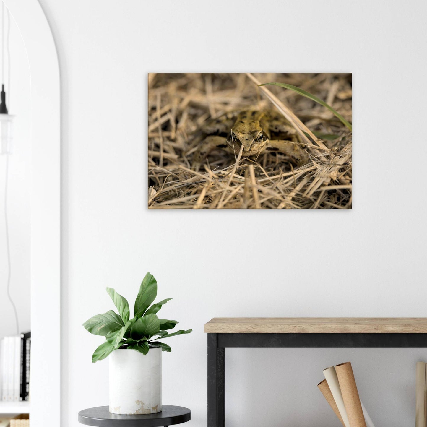 Frog in Hay