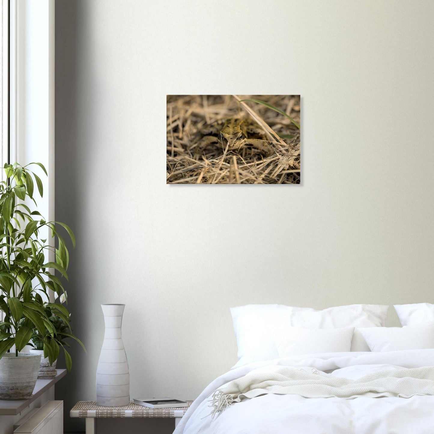 Frog in Hay