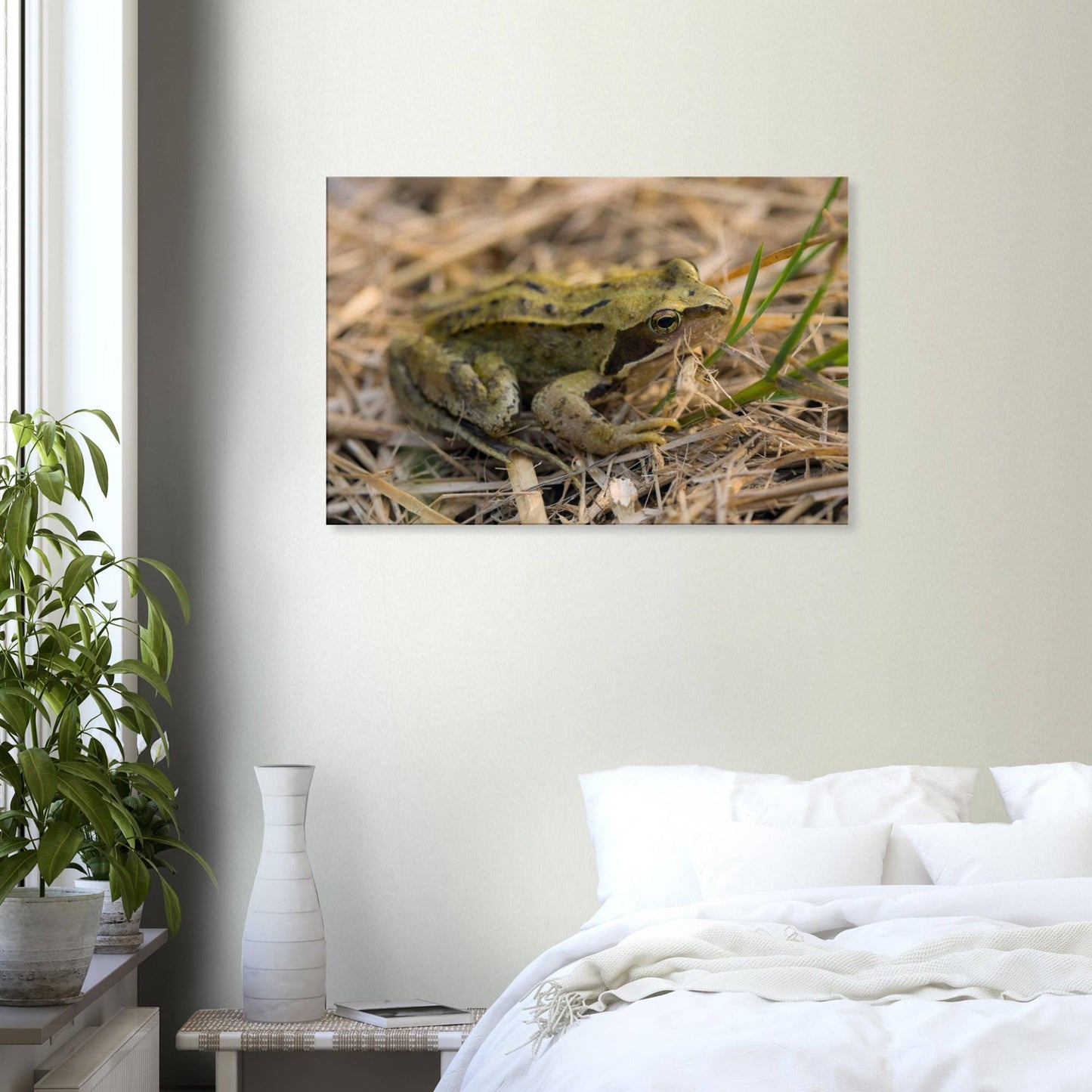 Chilling Frog