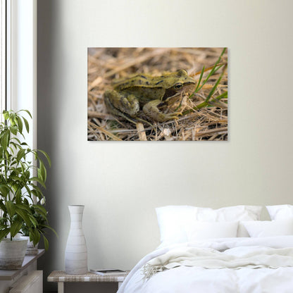 Chilling Frog