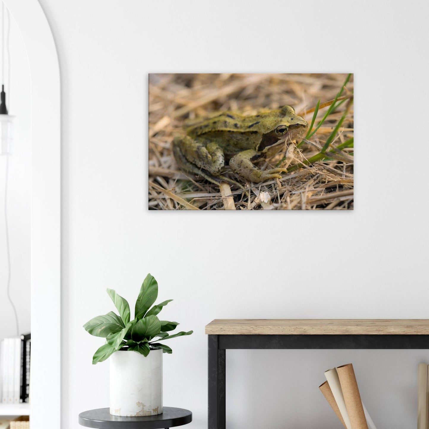 Chilling Frog