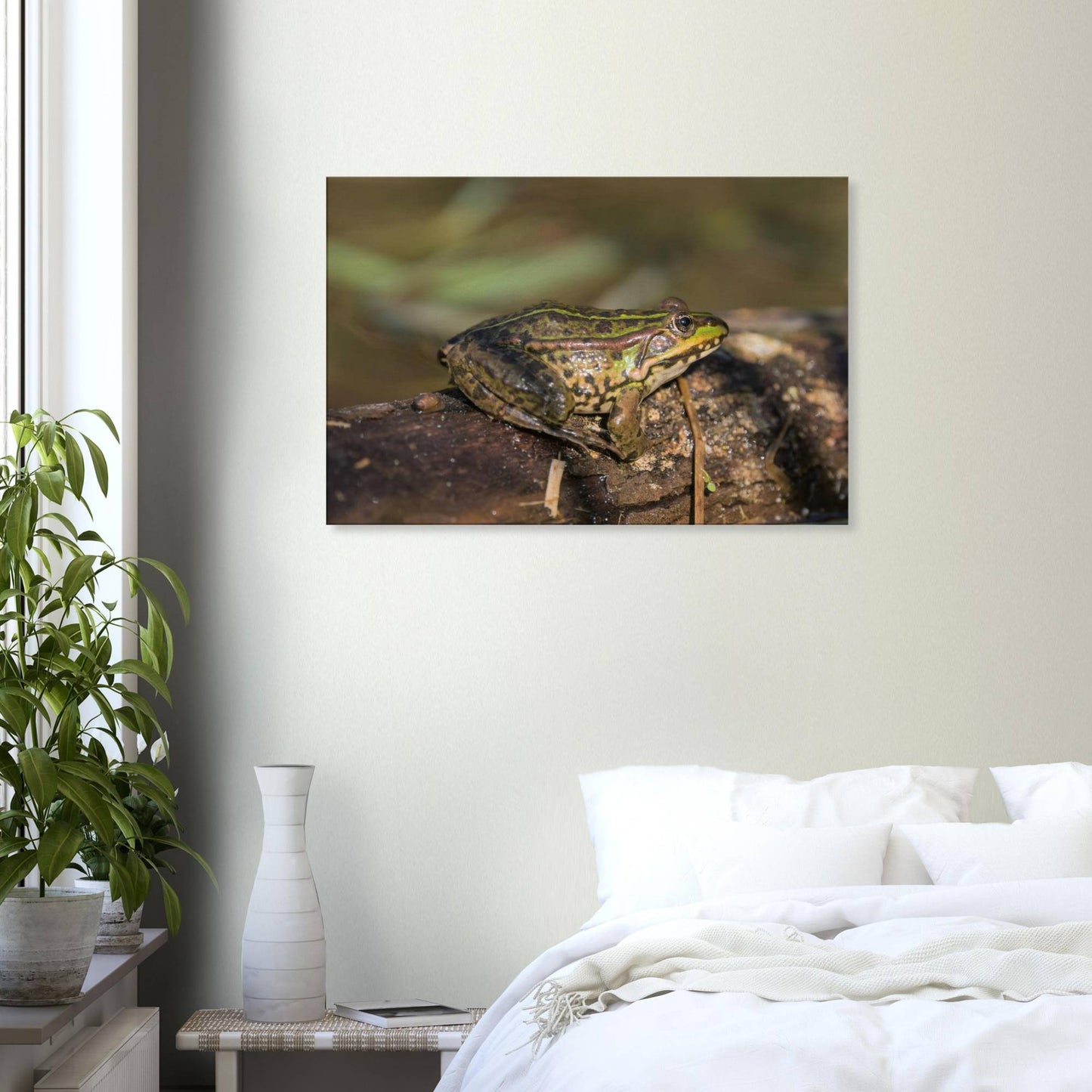 A Frog's Portrait