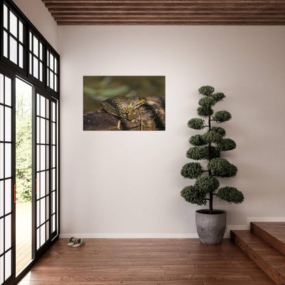 A Frog's Portrait