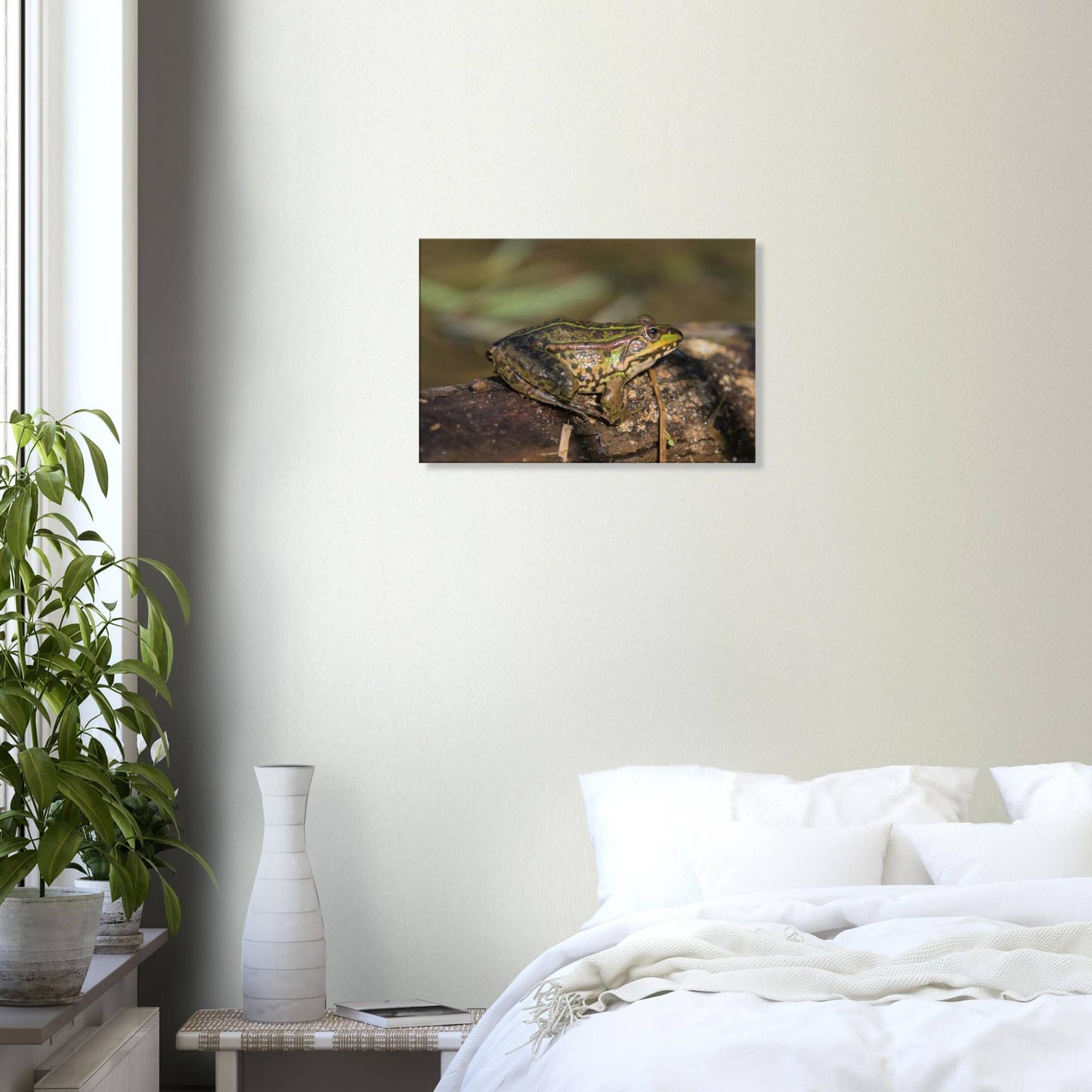 A Frog's Portrait