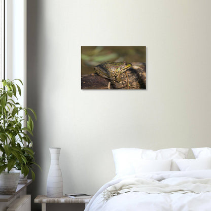 A Frog's Portrait