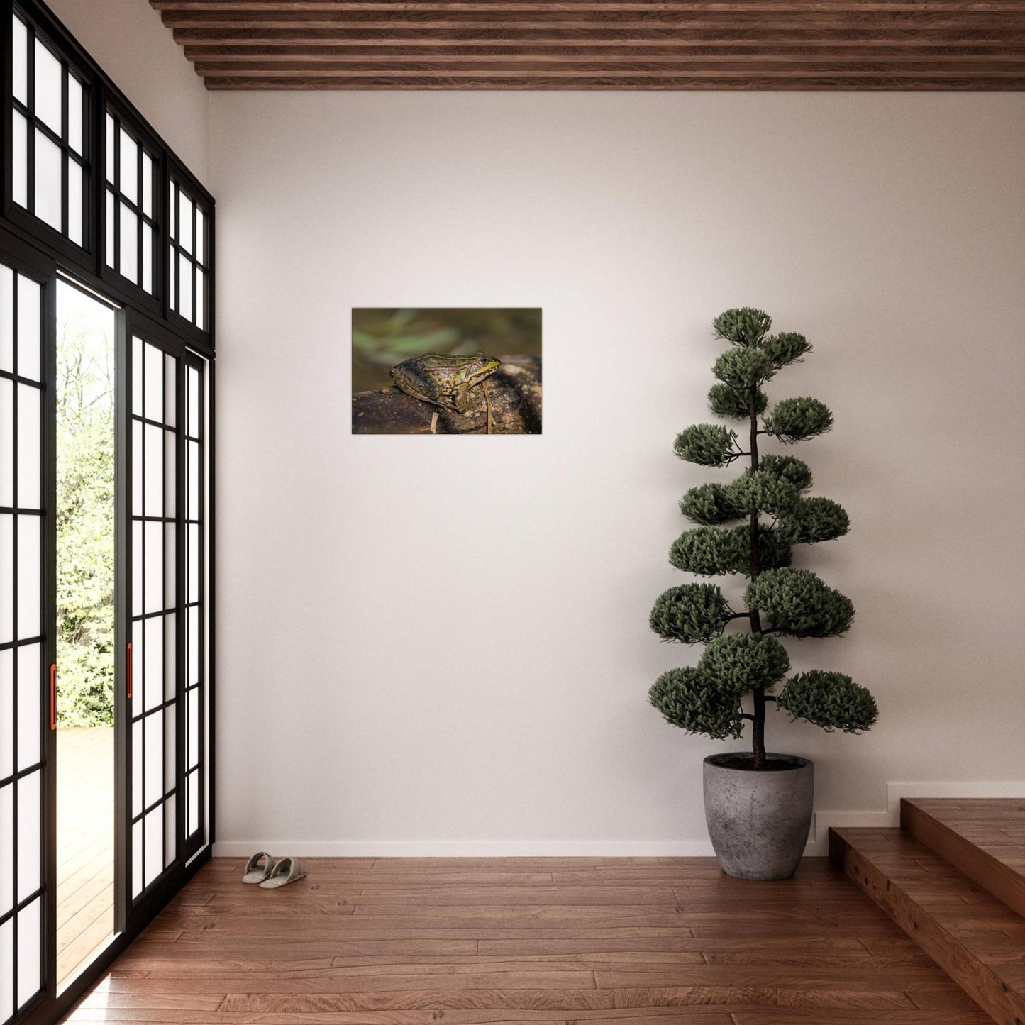A Frog's Portrait