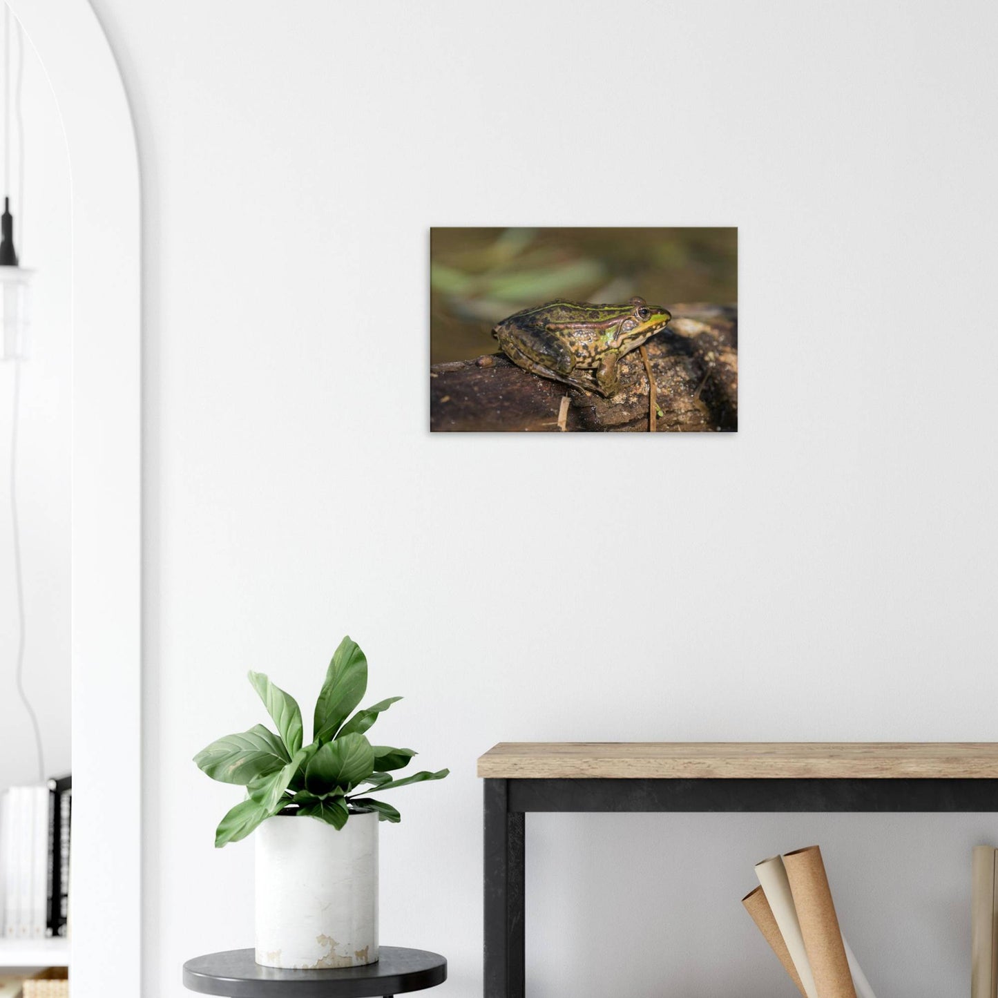 A Frog's Portrait