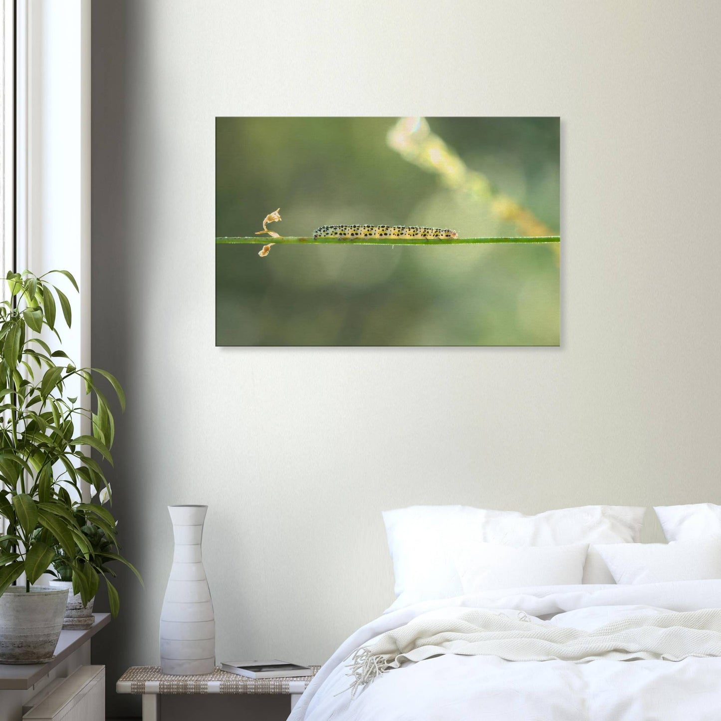 Caterpillar on a Journey