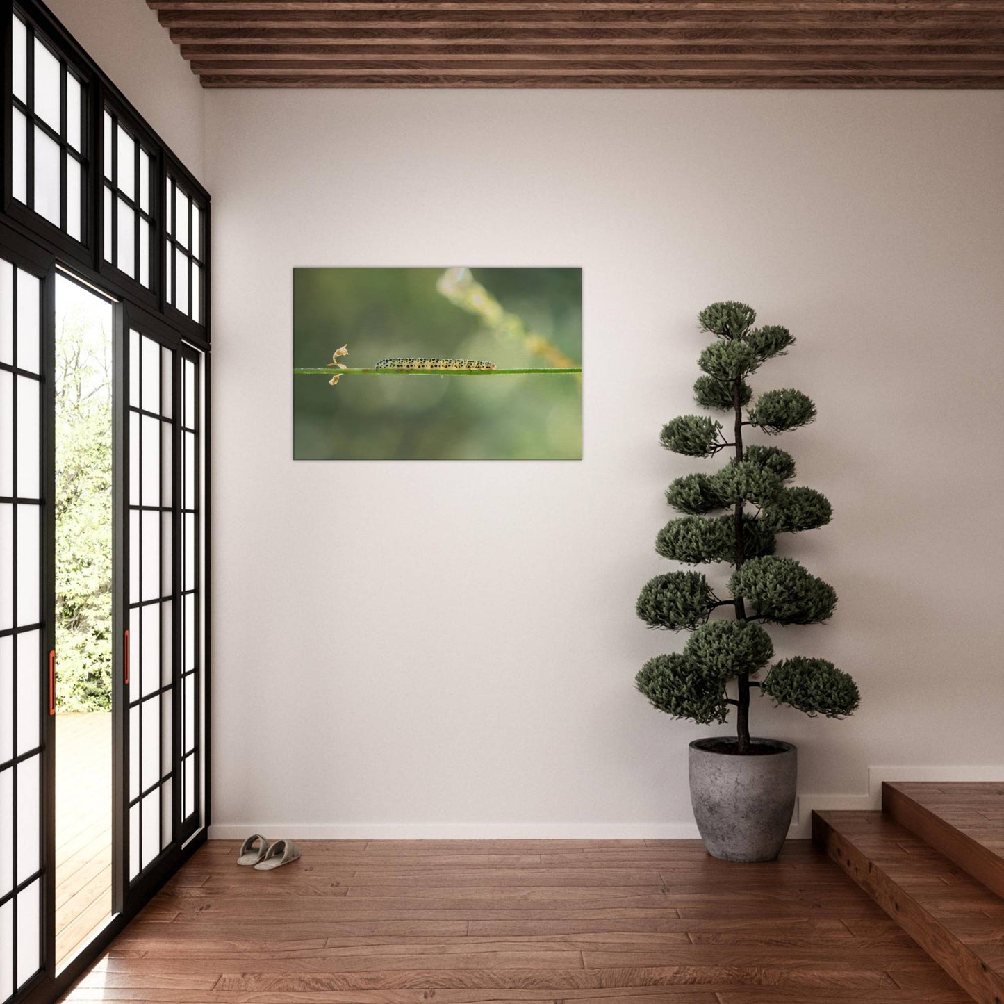 Caterpillar on a Journey