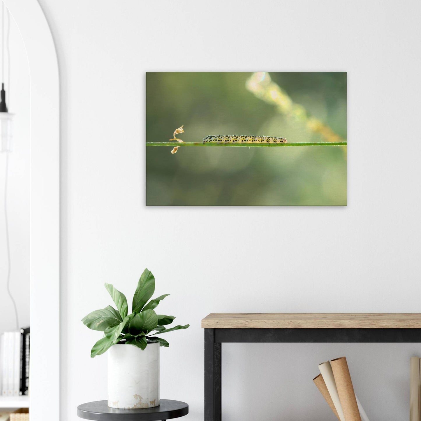 Caterpillar on a Journey