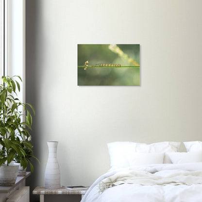 Caterpillar on a Journey