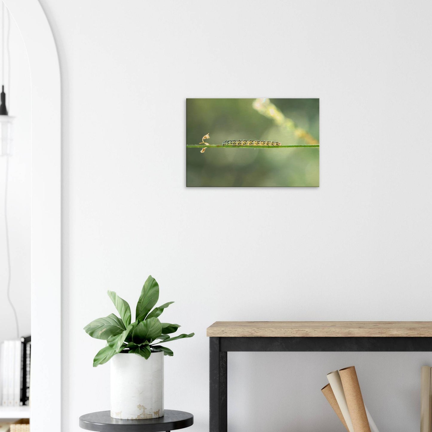 Caterpillar on a Journey