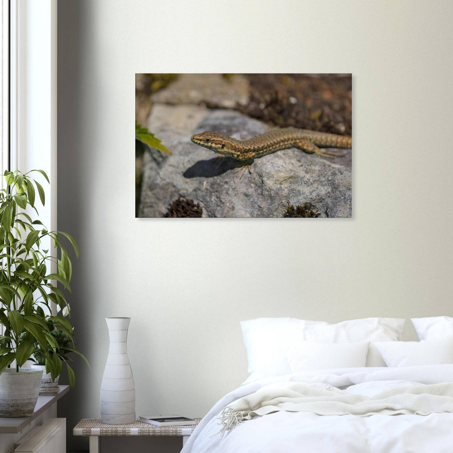 Peeking Lizard