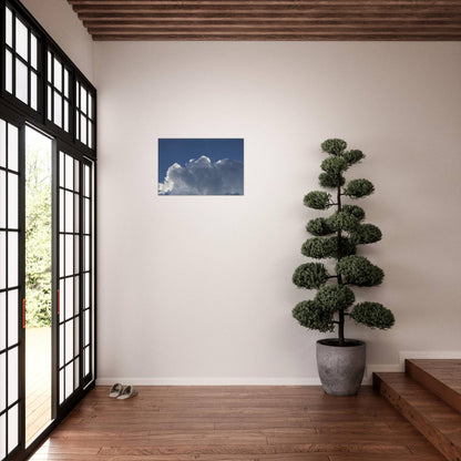 Cloud