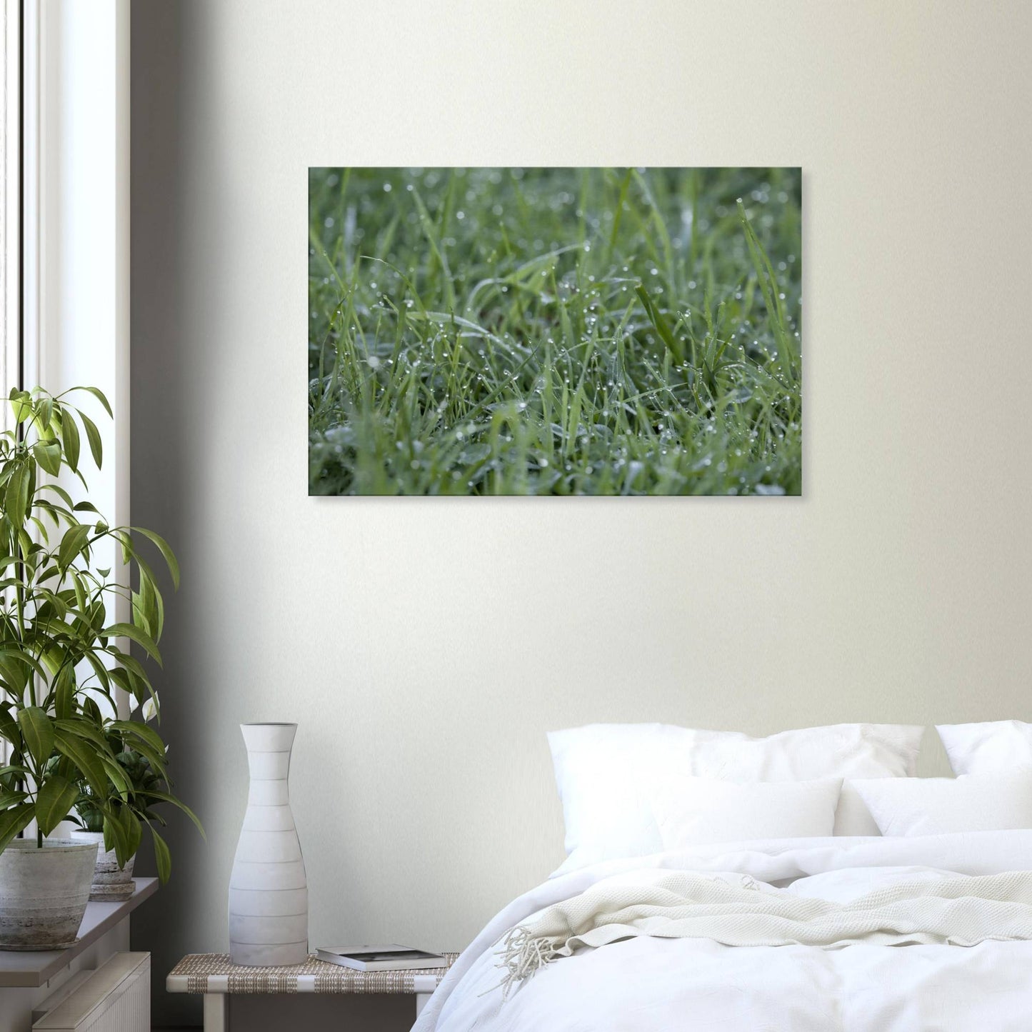 Grass