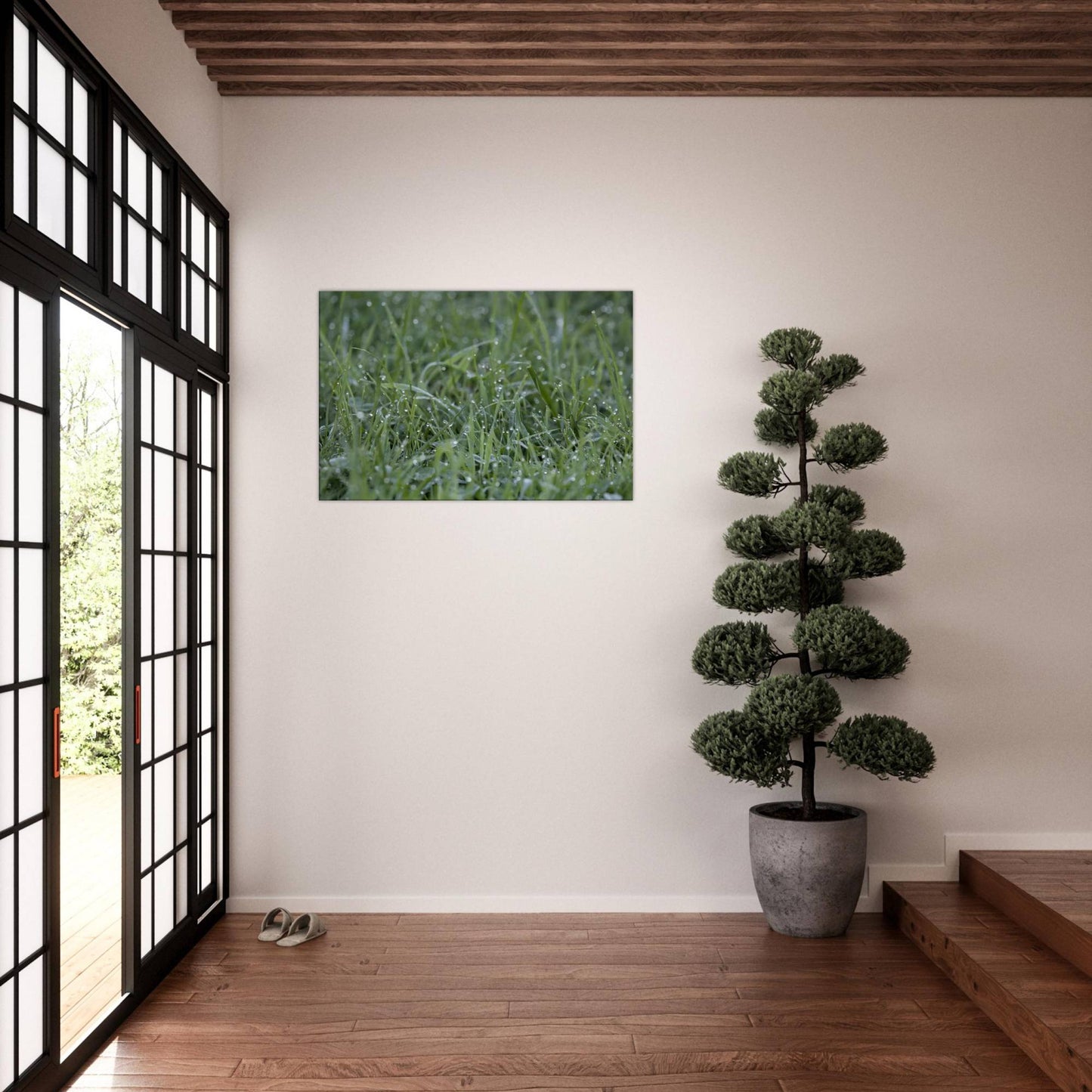 Grass