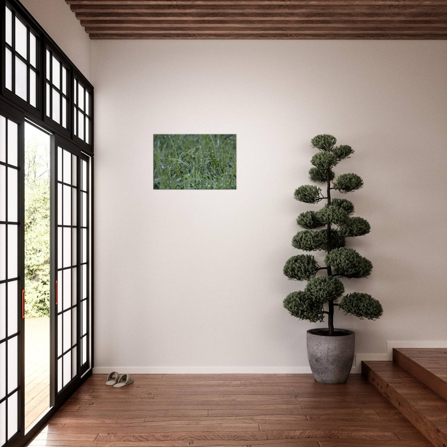 Grass