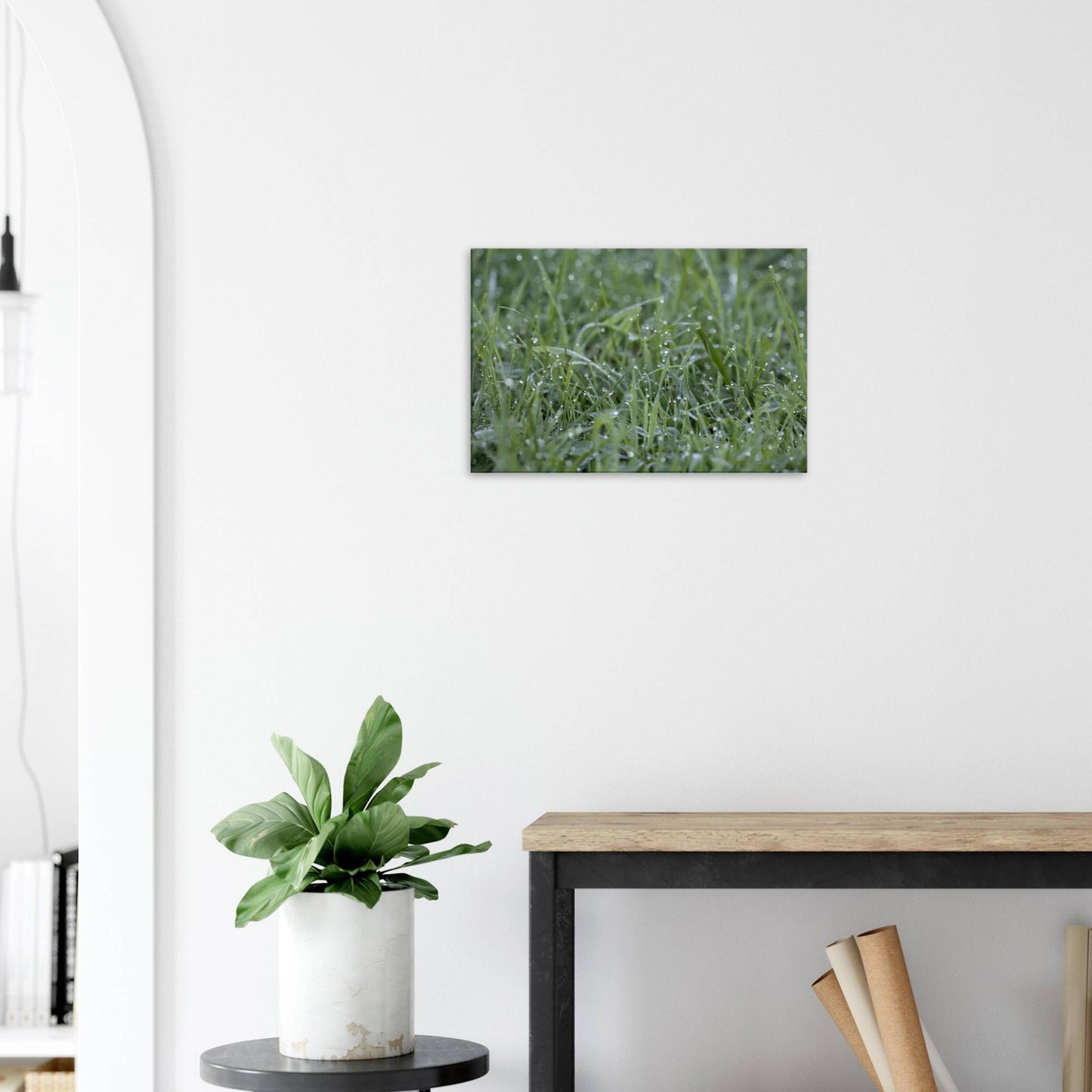 Grass