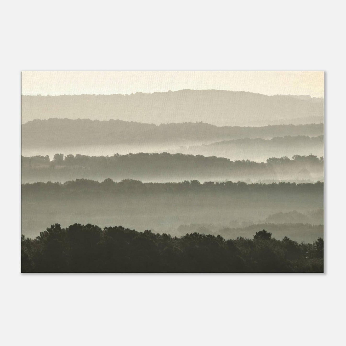 Misty Hills