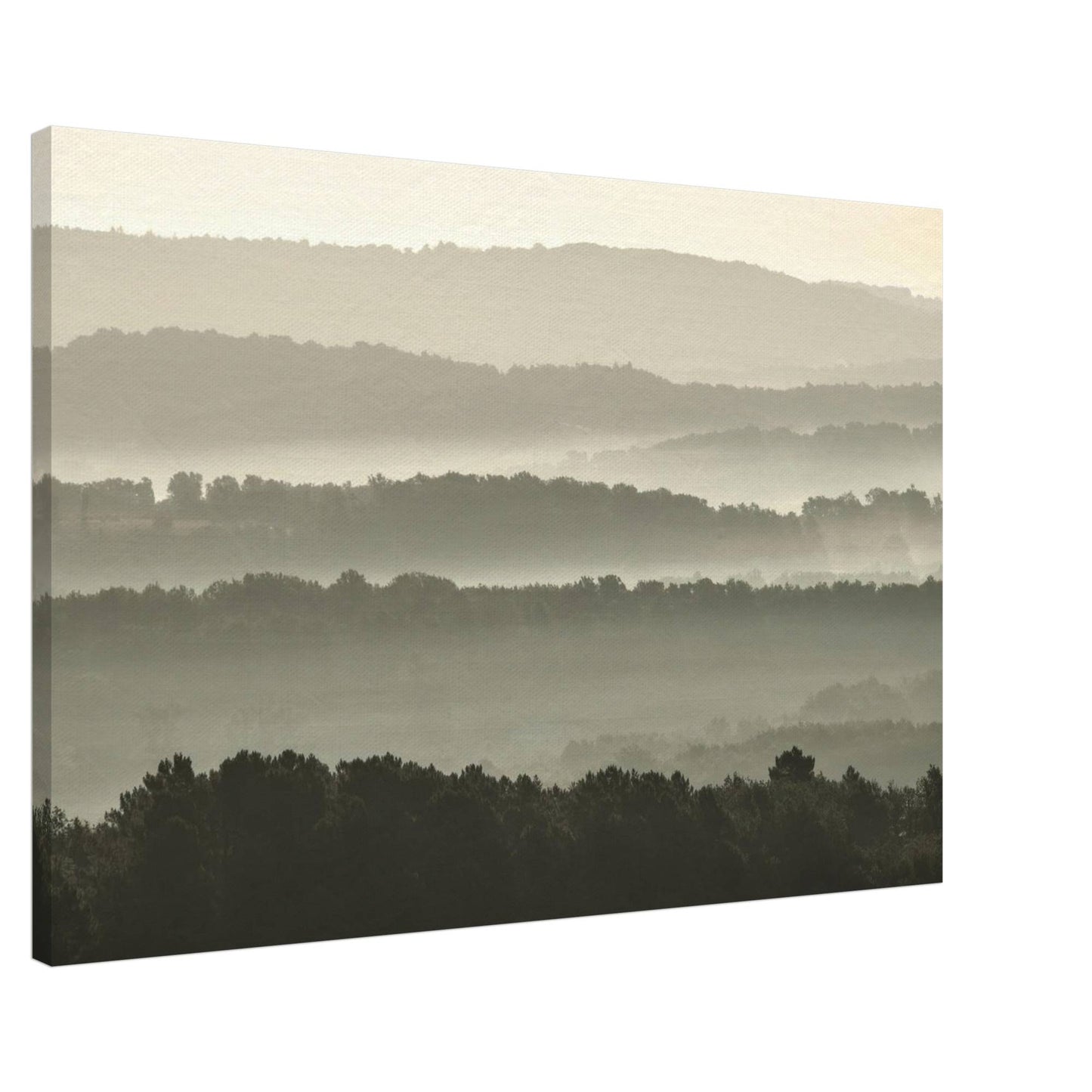 Misty Hills
