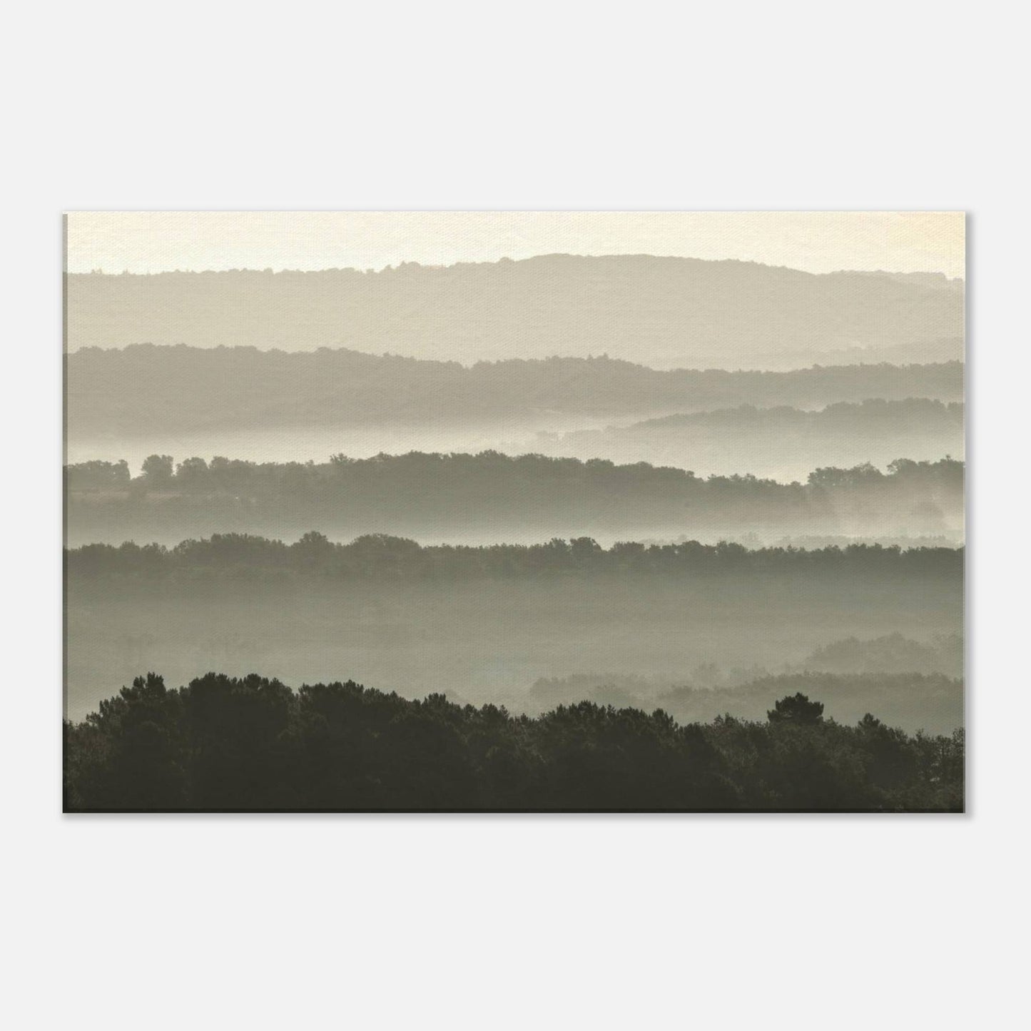Misty Hills