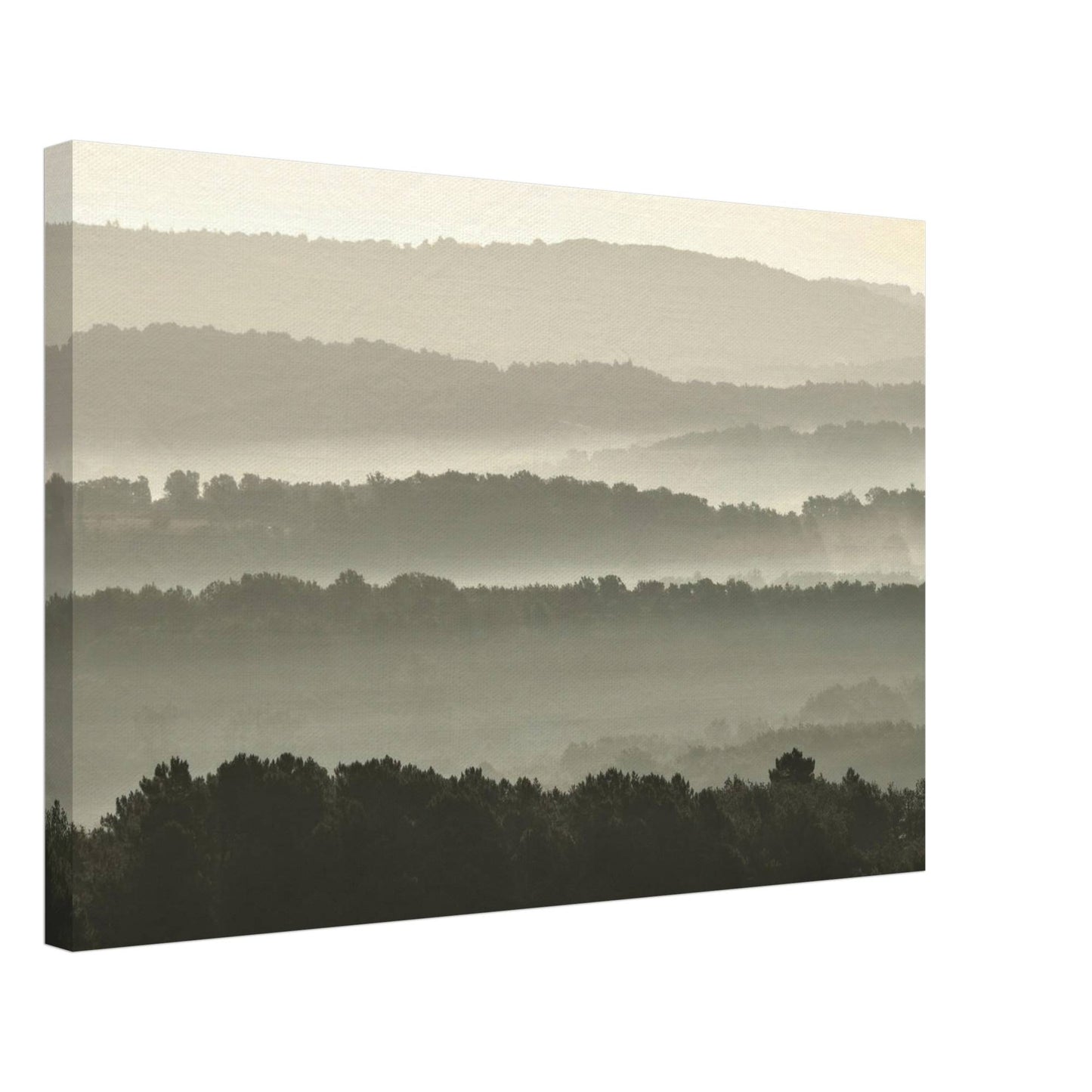 Misty Hills