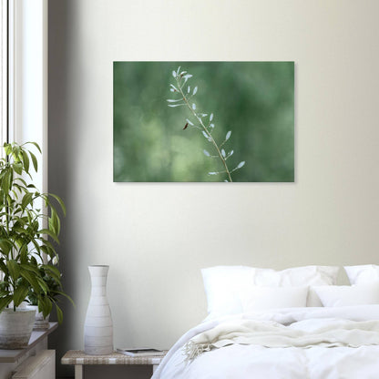 Plant with Droples