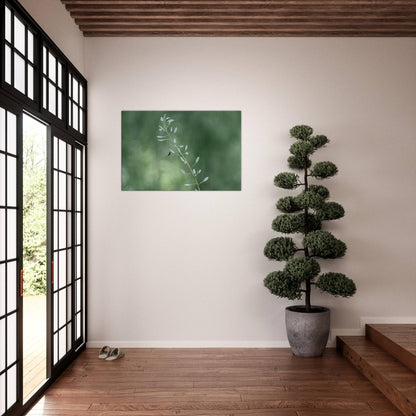 Plant with Droples