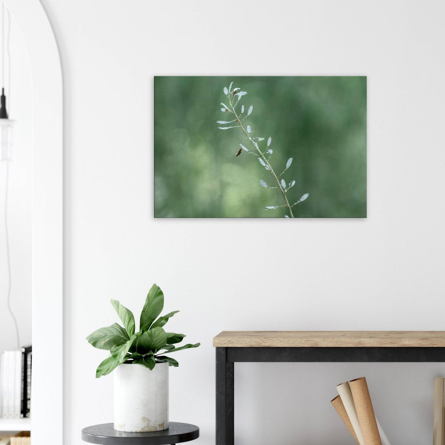 Plant with Droples