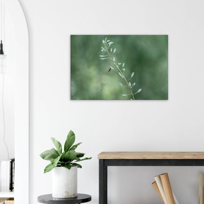 Plant with Droples
