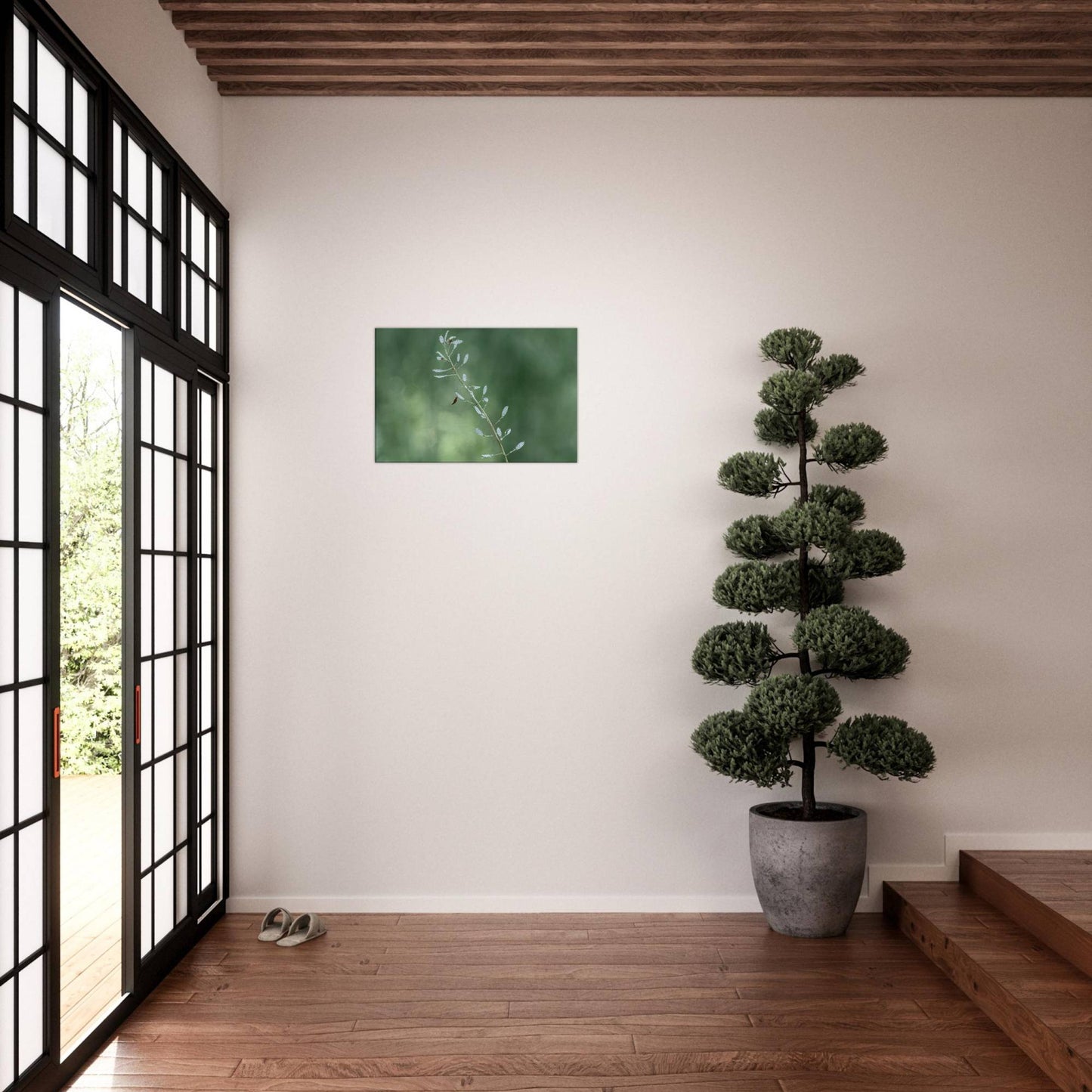 Plant with Droples
