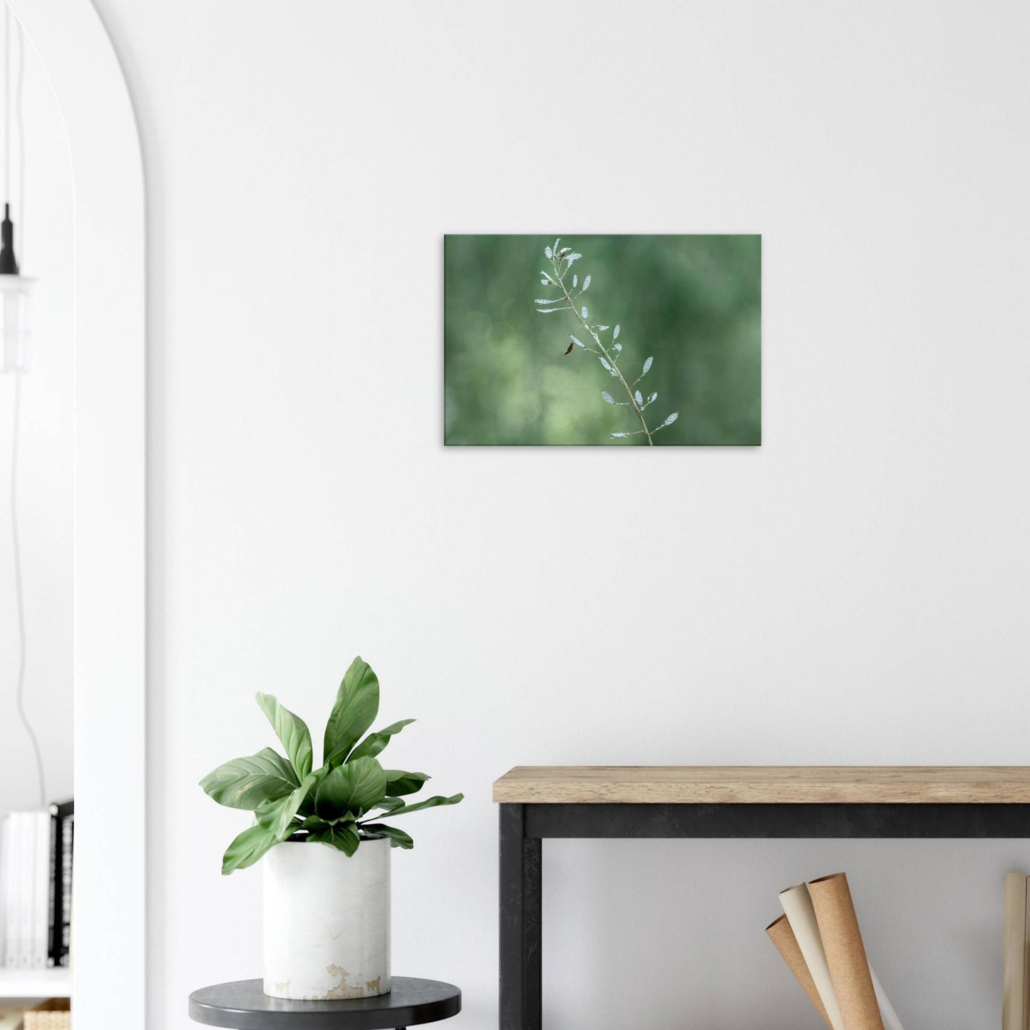 Plant with Droples