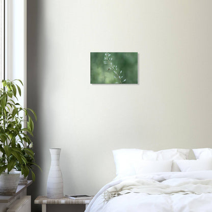 Plant with Droples