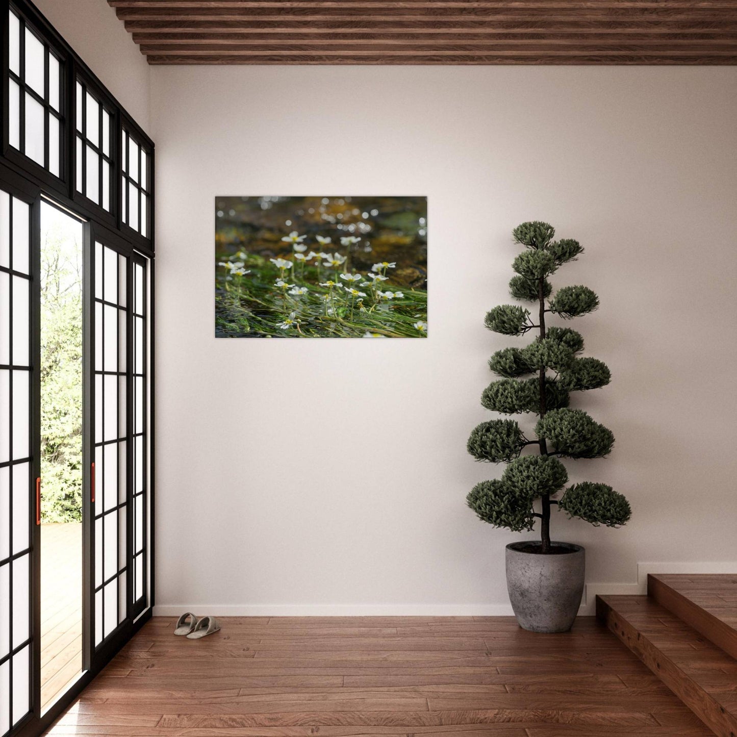 Dancing River Plants
