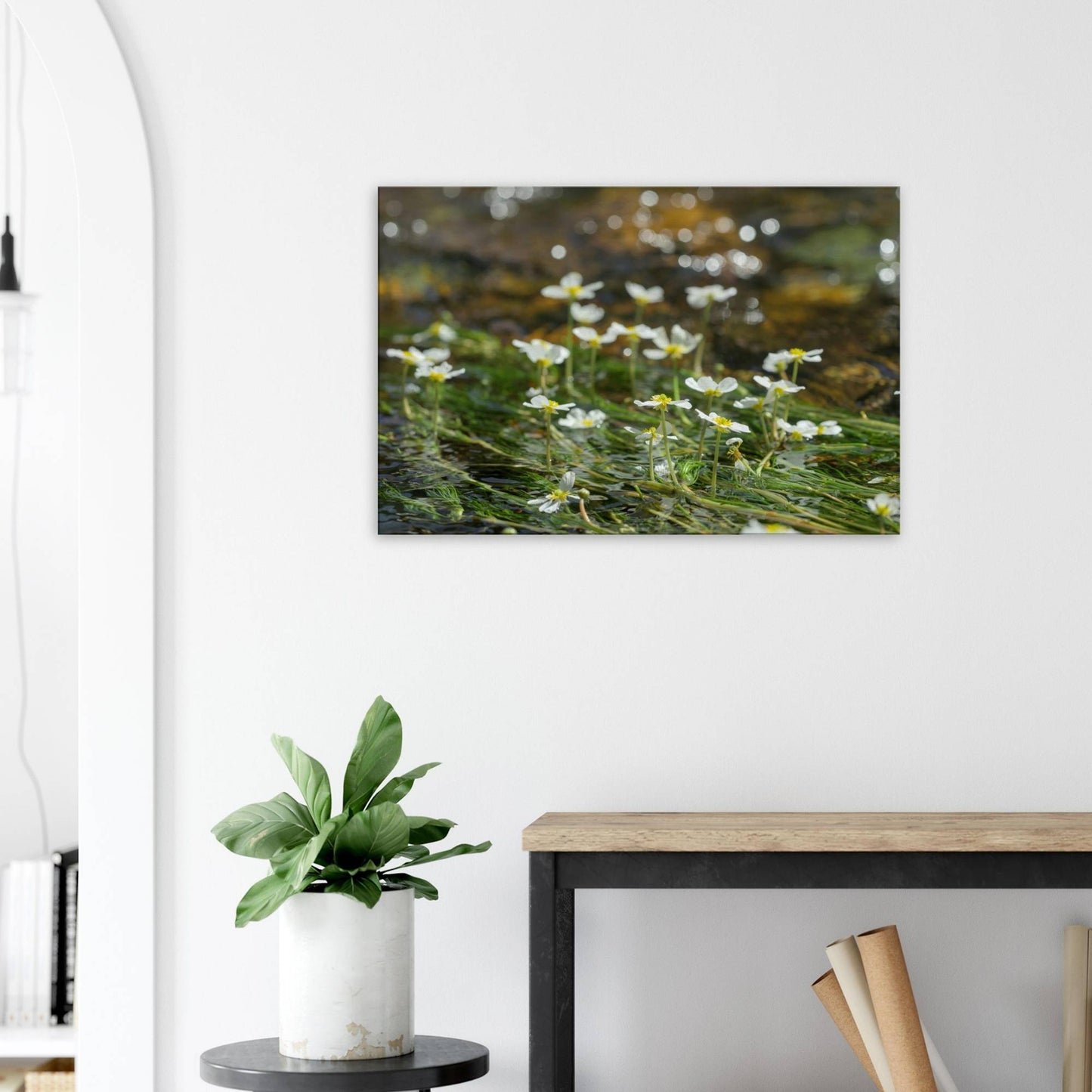 Dancing River Plants