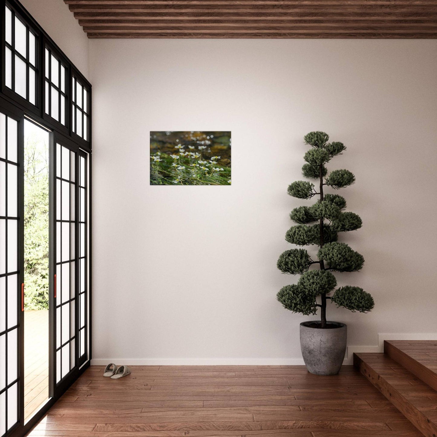Dancing River Plants