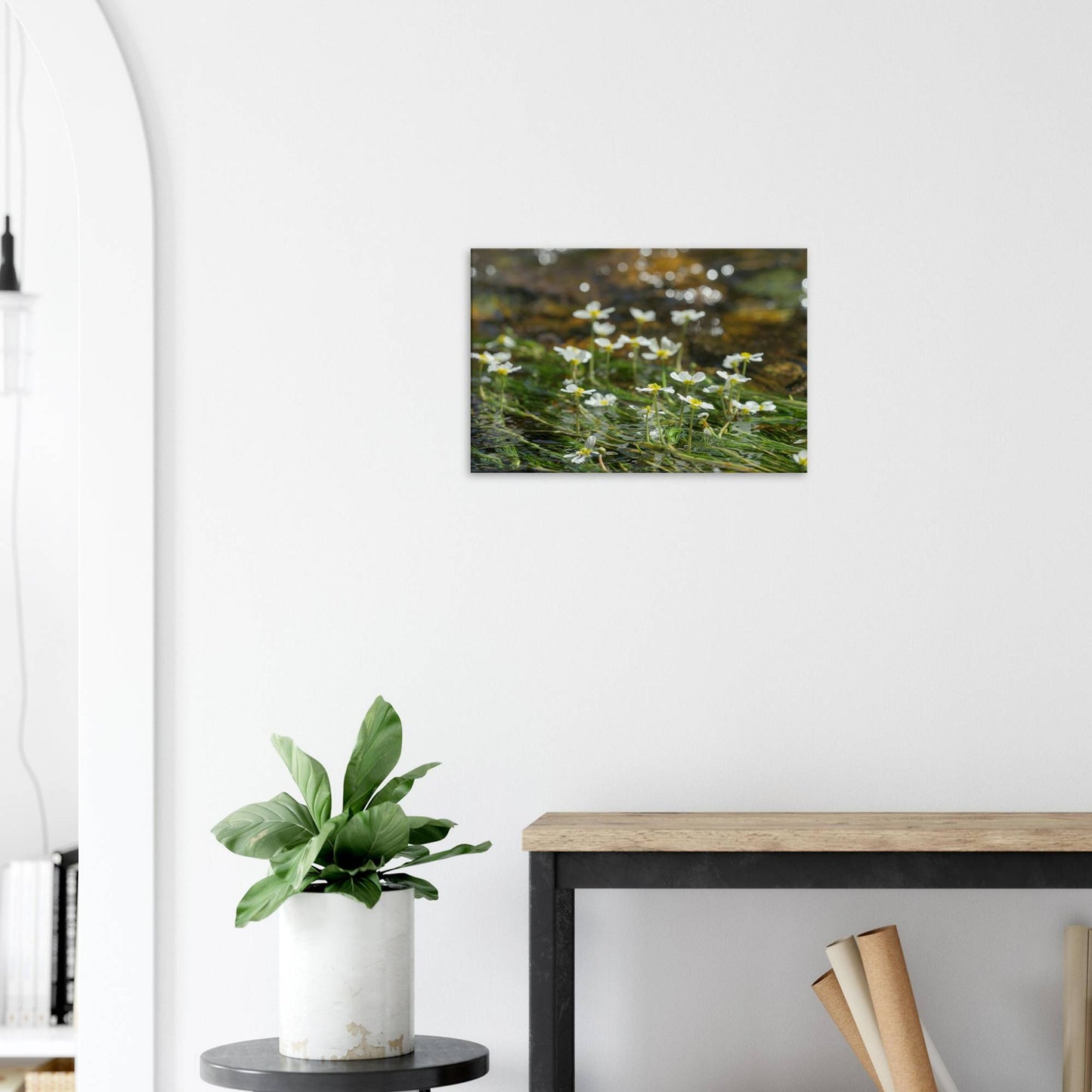 Dancing River Plants