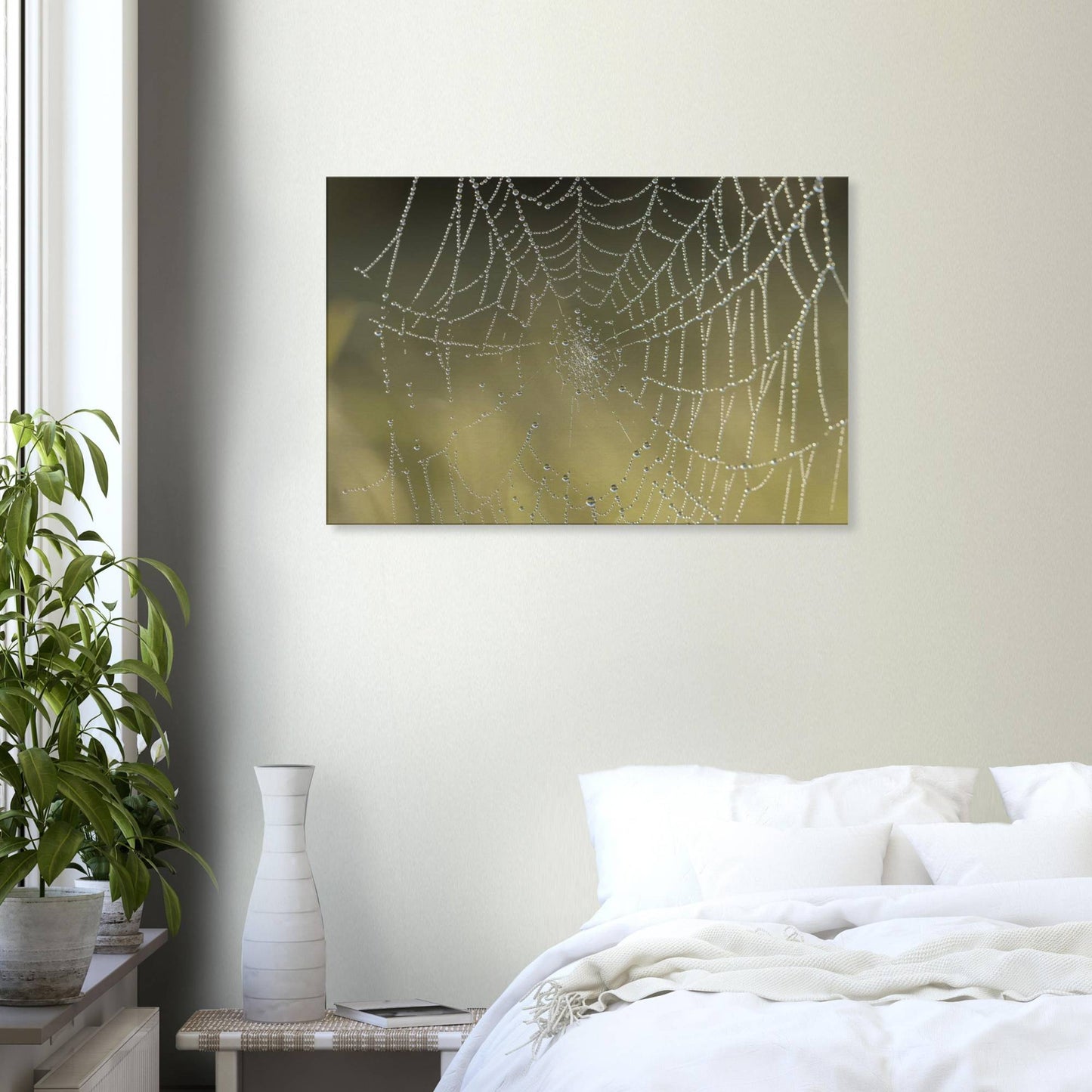 Web of Droplets