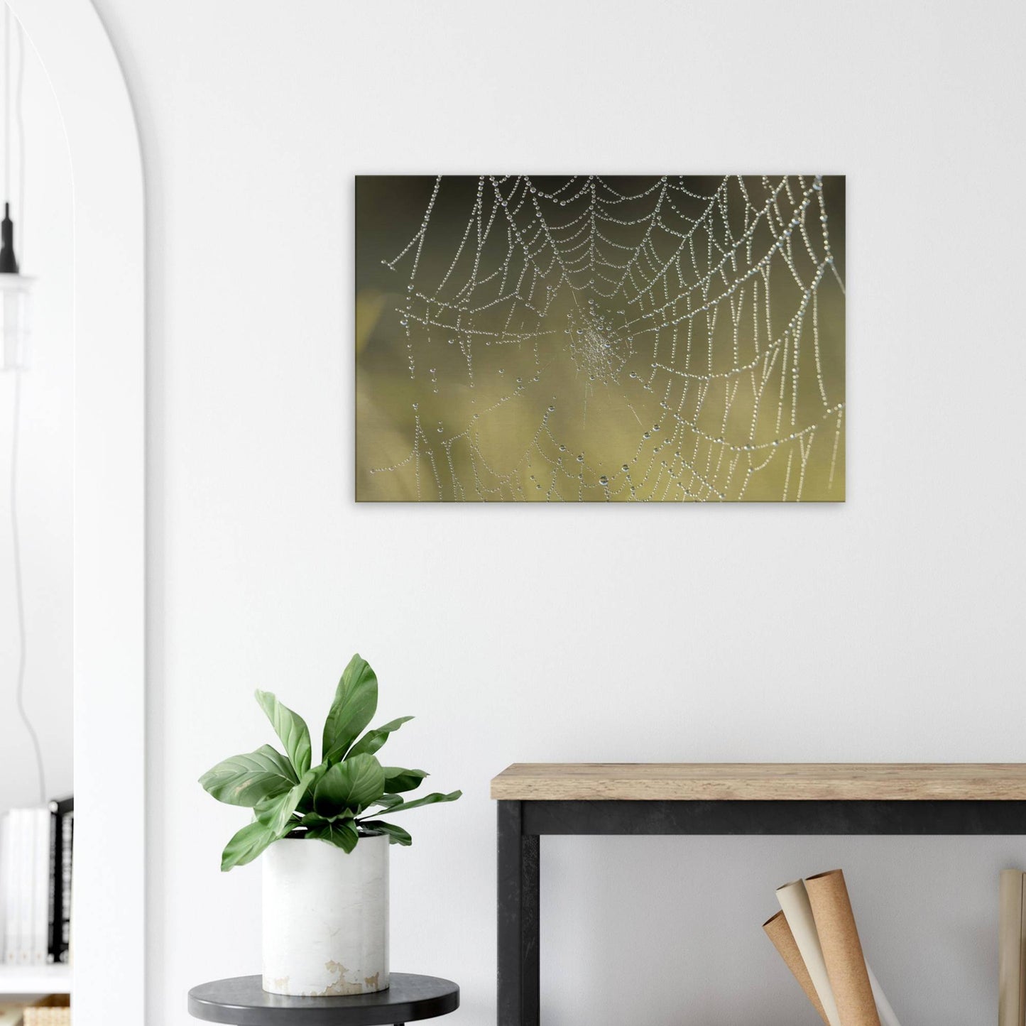 Web of Droplets