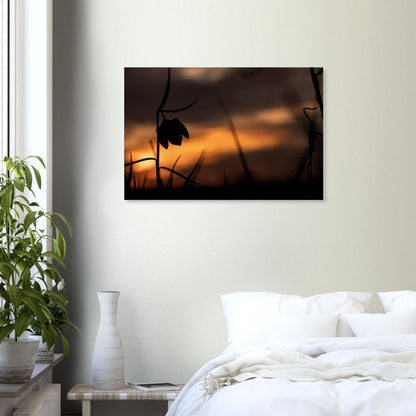 Sunset Flower