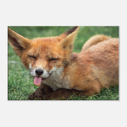 The Licking Fox